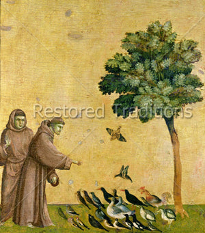 Franciscan saint in nature