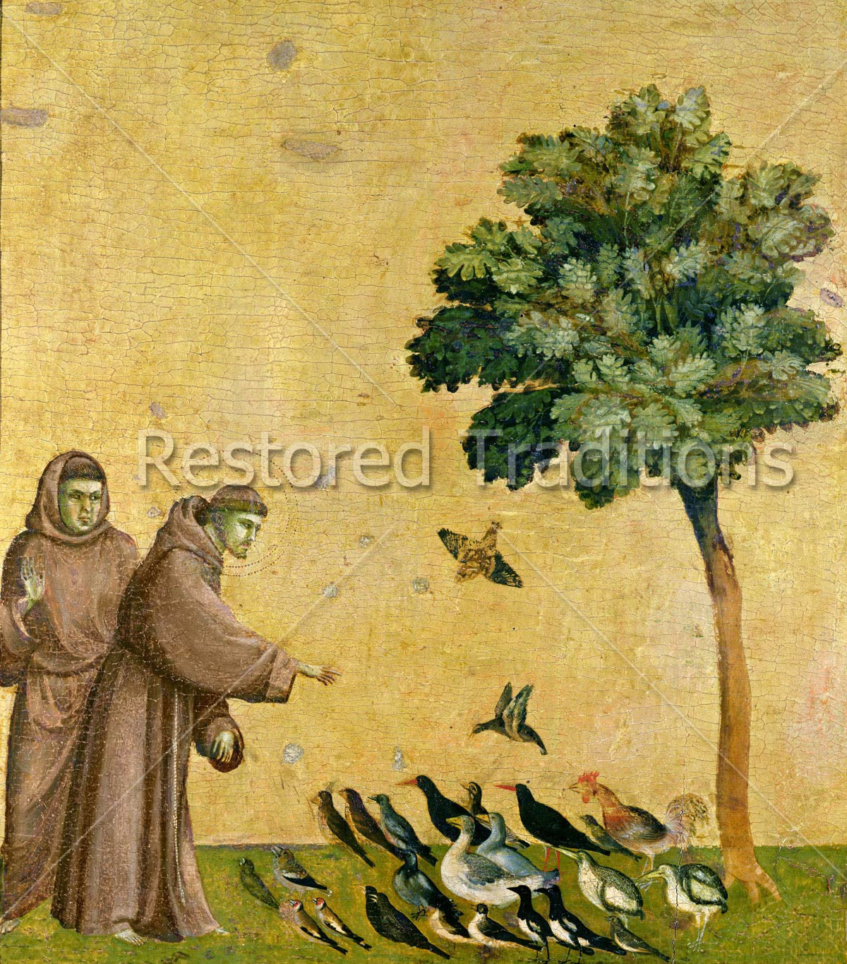St. Francis Preaching to the Birds- Giotto, restored fine-art print